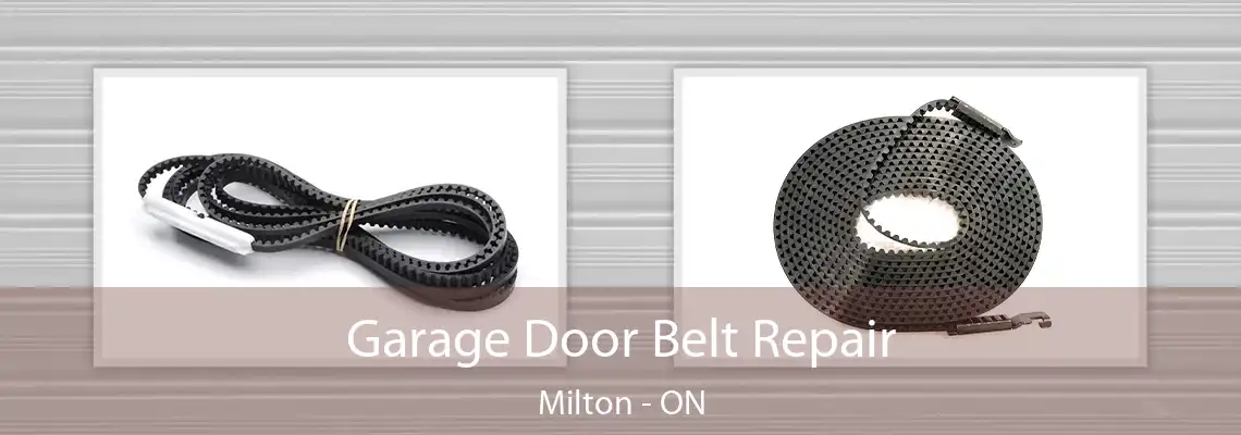 Garage Door Belt Repair Milton - ON