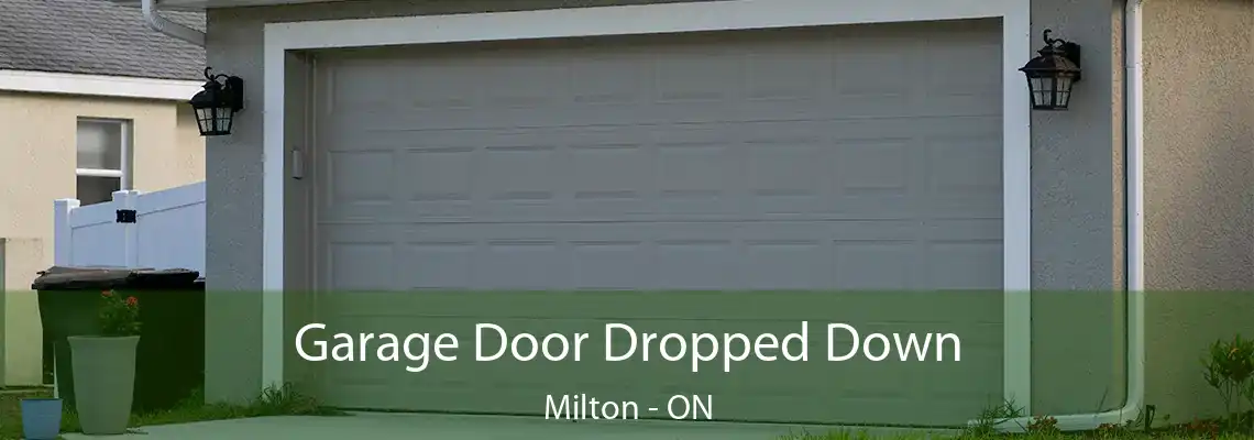 Garage Door Dropped Down Milton - ON