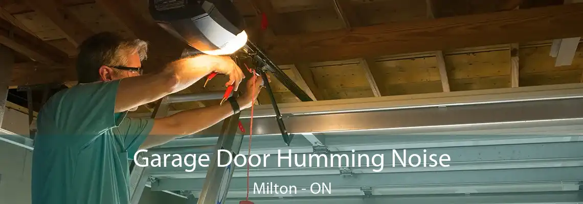 Garage Door Humming Noise Milton - ON