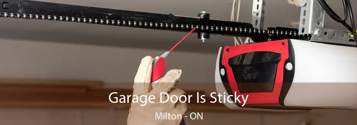 Garage Door Is Sticky Milton - ON