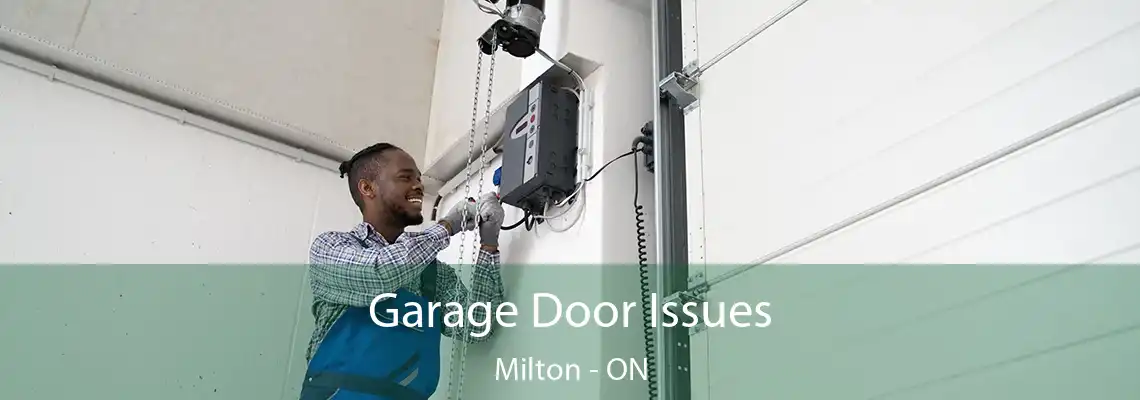 Garage Door Issues Milton - ON