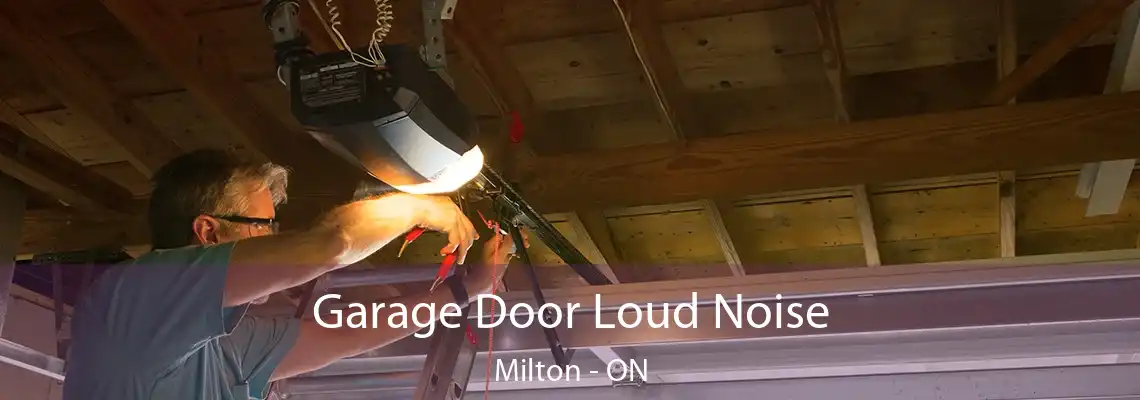 Garage Door Loud Noise Milton - ON