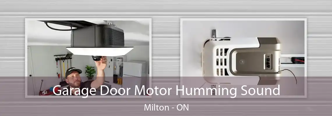 Garage Door Motor Humming Sound Milton - ON