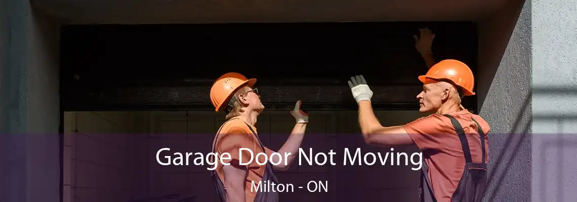 Garage Door Not Moving Milton - ON