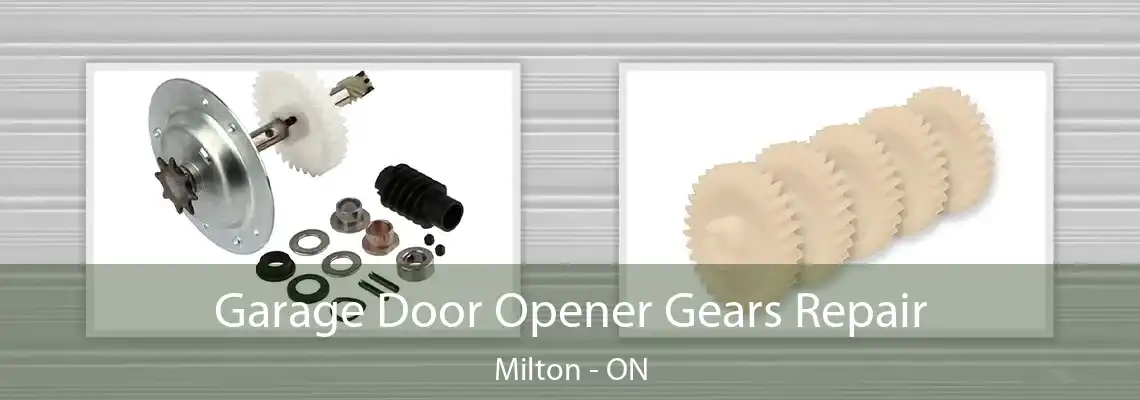 Garage Door Opener Gears Repair Milton - ON