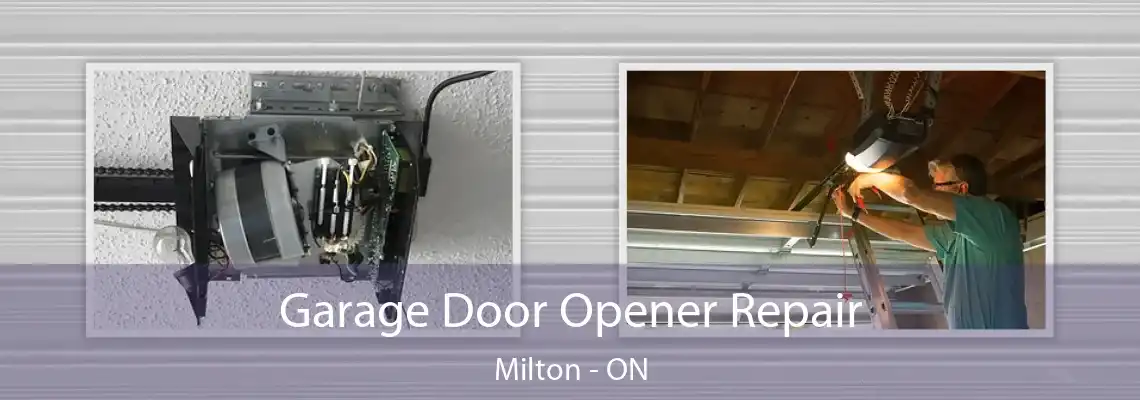 Garage Door Opener Repair Milton - ON