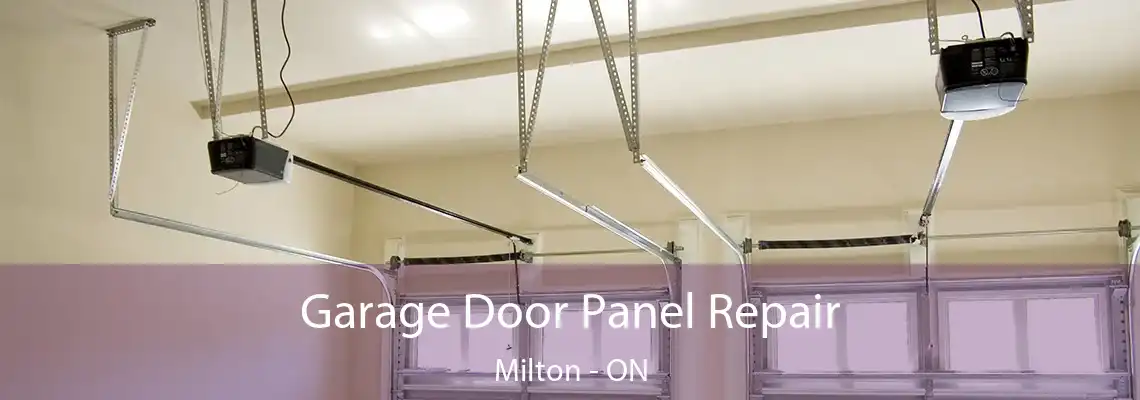 Garage Door Panel Repair Milton - ON