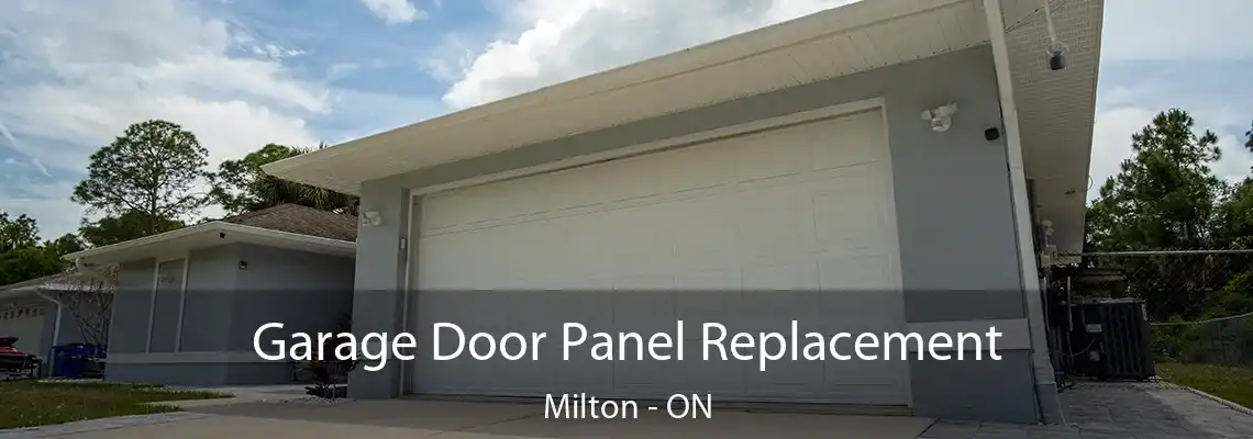 Garage Door Panel Replacement Milton - ON