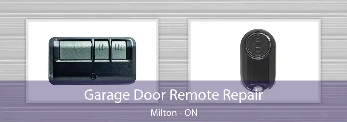Garage Door Remote Repair Milton - ON