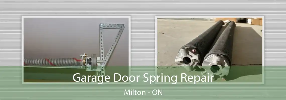 Garage Door Spring Repair Milton - ON