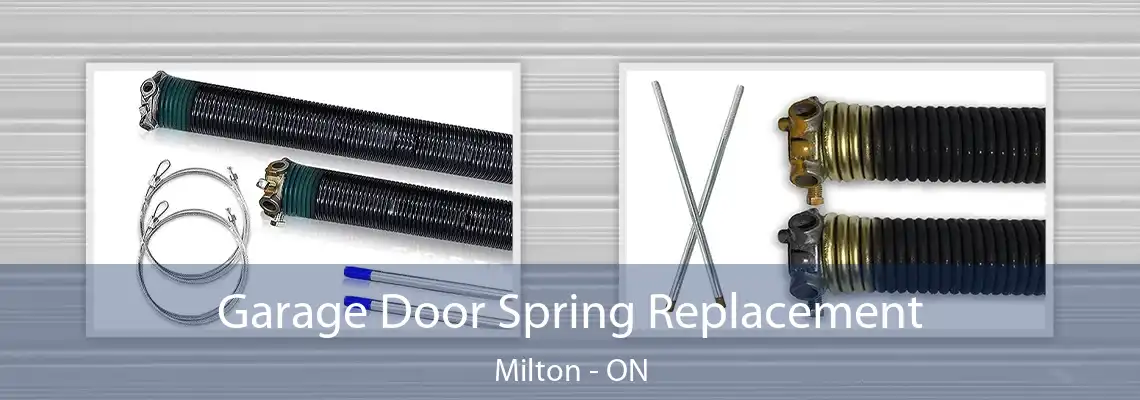 Garage Door Spring Replacement Milton - ON