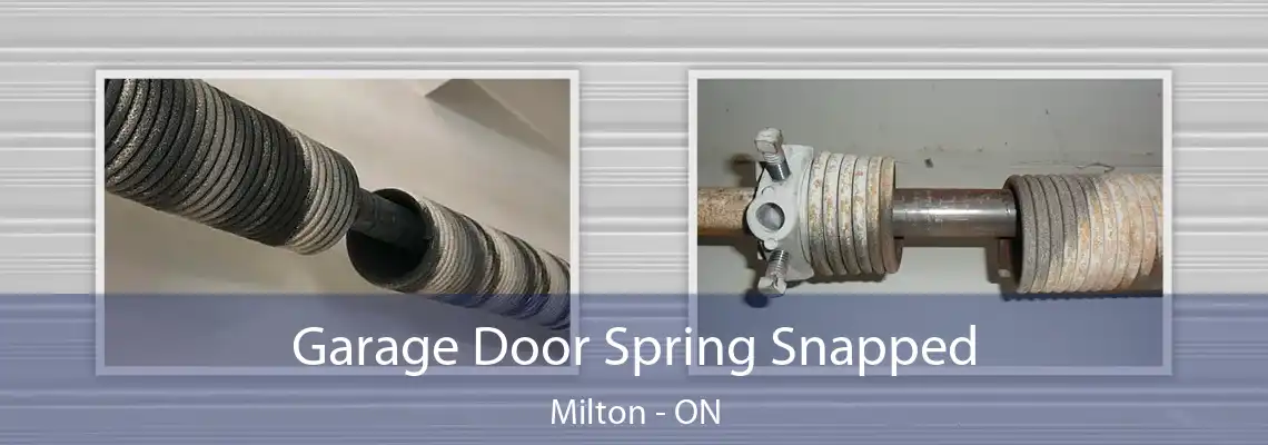 Garage Door Spring Snapped Milton - ON