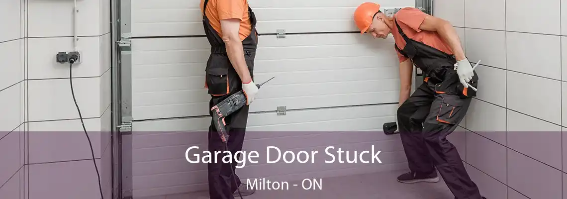 Garage Door Stuck Milton - ON