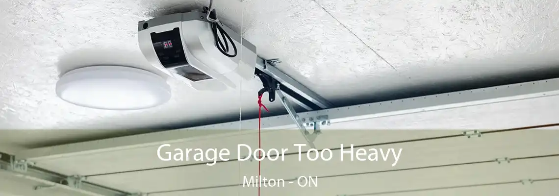 Garage Door Too Heavy Milton - ON