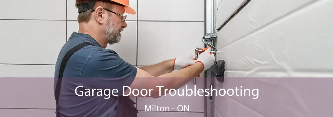 Garage Door Troubleshooting Milton - ON