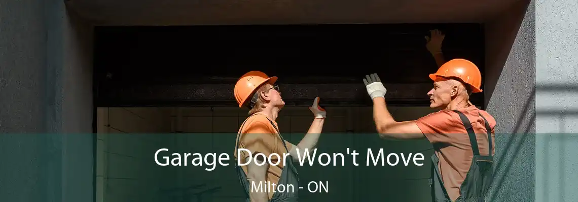 Garage Door Won't Move Milton - ON