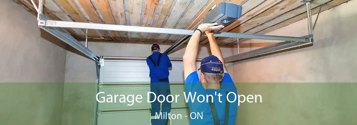 Garage Door Won't Open Milton - ON