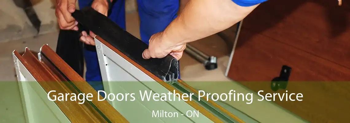 Garage Doors Weather Proofing Service Milton - ON
