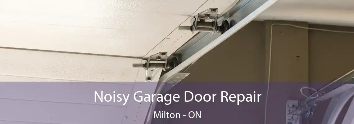 Noisy Garage Door Repair Milton - ON