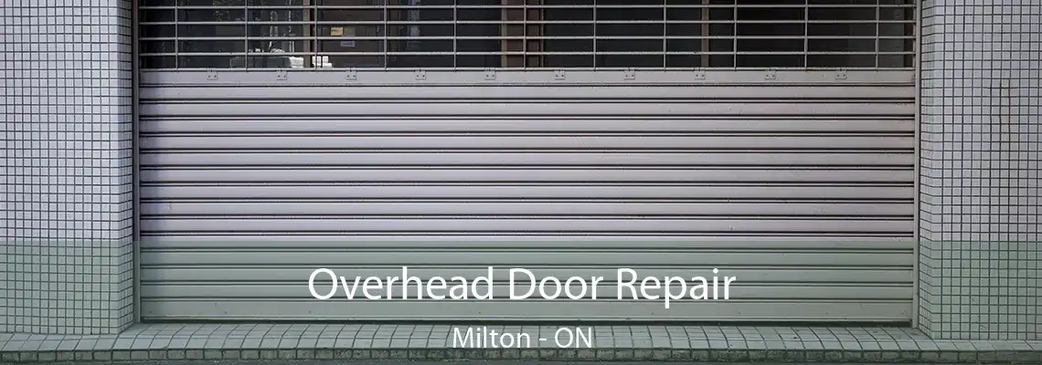 Overhead Door Repair Milton - ON