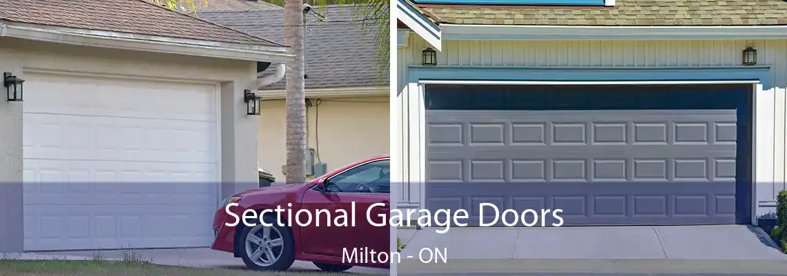 Sectional Garage Doors Milton - ON